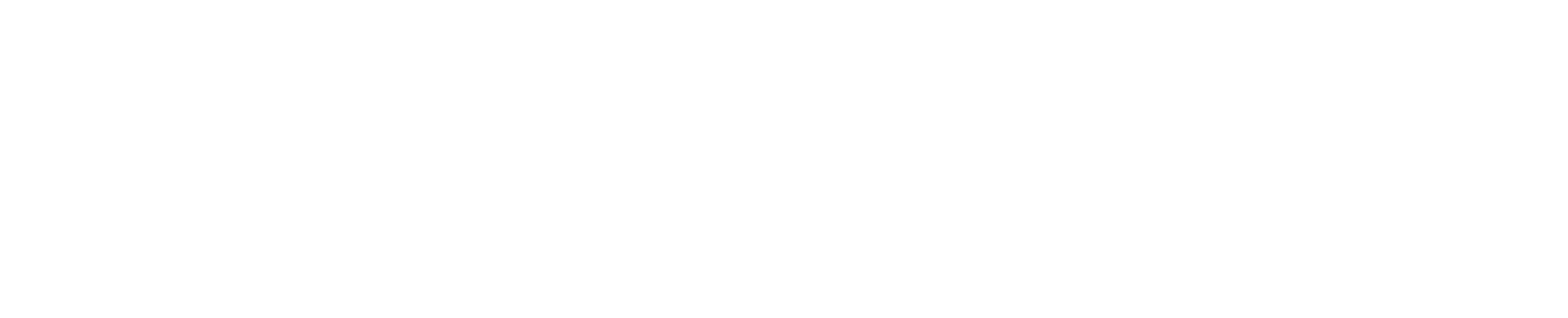 IAM + CASES